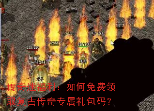 �����Ը�������������ȡ���Ŵ���ר������룿
