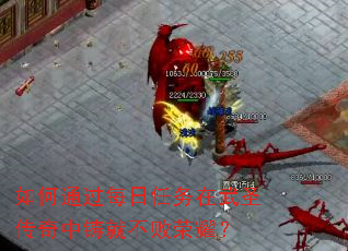 ���ͨ��ÿ����������ʥ���������Ͳ�����ҫ��