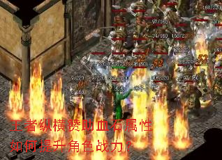 �����ݺ�����Ѫʯ�������������ɫս����