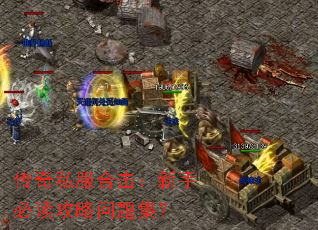 传奇私服合击:新手必读攻略问题集? 传奇私服合击:新手必读攻略问题集?