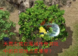 ��������ħ������Ϸ�еĻ�ȡ�ص������