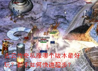 ���ƴ���˽���ĸ��汾����棿������ο����𲽣�