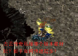 ���ƴ���˽���ĸ��汾����棿������ο����𲽣�