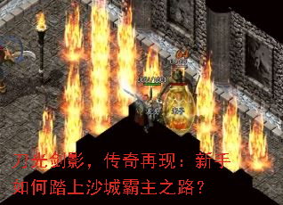 ���⽣Ӱ���������֣��������̤��ɳ�ǰ���֮·��