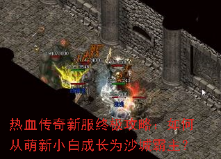 ��Ѫ�����·��ռ����ԣ���δ�����С�׳ɳ�Ϊɳ�ǰ�����