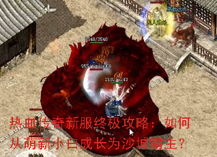 ��Ѫ�����·��ռ����ԣ���δ�����С�׳ɳ�Ϊɳ�ǰ�����