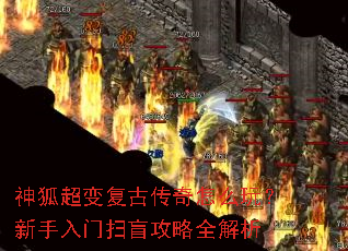 ������临�Ŵ�����ô�棿��������ɨä����ȫ����