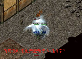 ���漰ʱ����Ѱ���������ָ�ϣ�