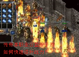 ���浥ְҵ�����������ο�������ս����