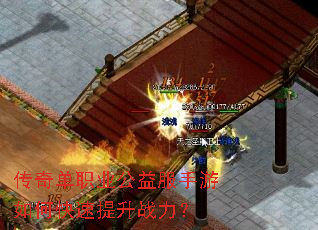 ���浥ְҵ�����������ο�������ս����
