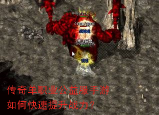 ���浥ְҵ�����������ο�������ս����