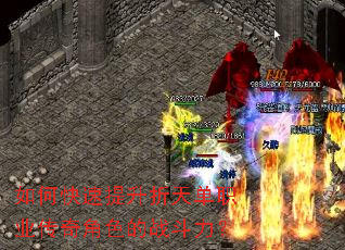 ��ο����������쵥ְҵ�����ɫ��ս������