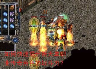 ��ο����������쵥ְҵ�����ɫ��ս������