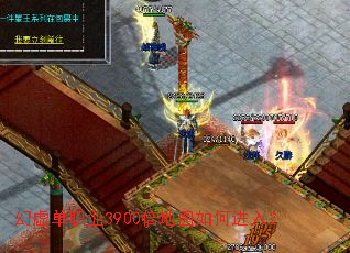 ���鵥ְҵ3900����ͼ��ν��룿