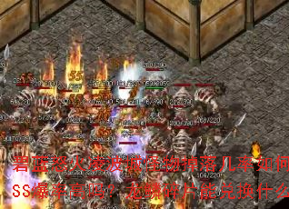 ����ŭ���貨�ǹ�����伸����Σ�BOSS���ʸ���������Ƭ�ܶһ�ʲô��