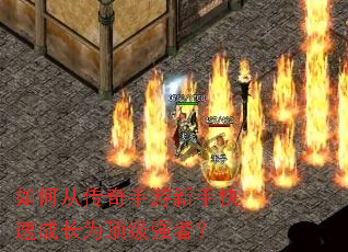 ��δӴ����������ֿ��ٳɳ�Ϊ����ǿ�ߣ�