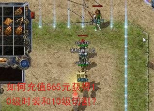 ��γ�ֵ865Ԫ���10��ʱװ��10���и