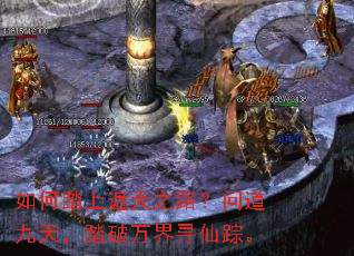 ���̤������֮·���ʵ����죬̤�����Ѱ���١�