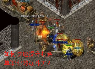 ��ο����������ְҵ��ս������