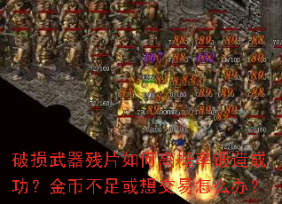 ����������Ƭ��θ߸��ʶ���ɹ�����Ҳ�����뽻����ô�죿