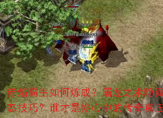 �������������ɣ�����֮��������Щ��̬���ɣ�˭���������еĴ��������ߣ�
