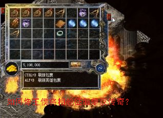 ����������������������棿