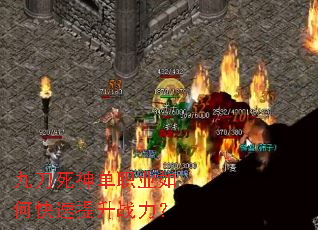 �ŵ�����ְҵ��ο�������ս����