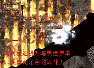 ��ο��������������絥ְҵ�����ɫ��ս������