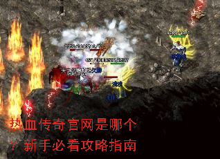 ��Ѫ����������ĸ������ֱؿ�����ָ��