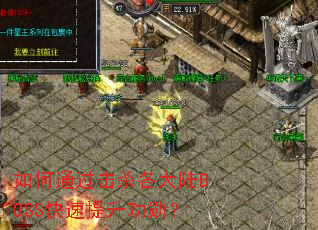 ���ͨ����ɱ����½BOSS����������ѫ��