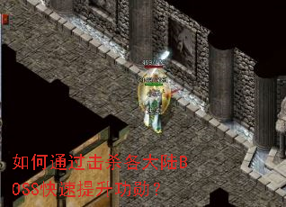 ���ͨ����ɱ����½BOSS����������ѫ��