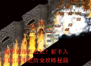 ħ���·���ô�棿�������ŵ����ֽ���ȫ�����ؼ�