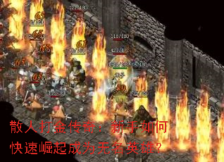 ɢ�˴���棺������ο��������Ϊ����Ӣ�ۣ�