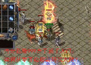 ����˽��999�����������ţ���δ��㿪ʼ�ư��귨��½��