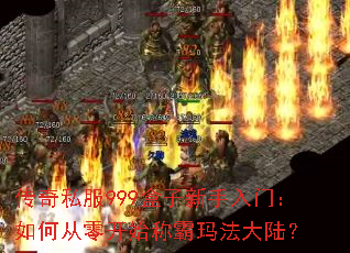 ����˽��999�����������ţ���δ��㿪ʼ�ư��귨��½��