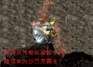 ��δӴ���˽�����ֿ��ٳɳ�Ϊɳ�Ϳ˰�����