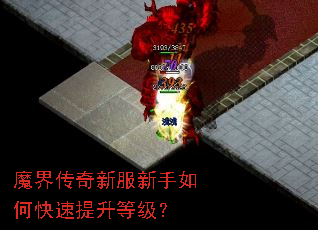 ħ�紫���·�������ο��������ȼ���