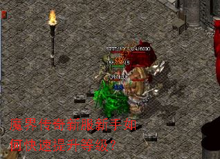 ħ�紫���·�������ο��������ȼ���