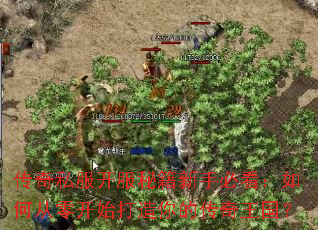 ����˽�������ؼ����ֱؿ�����δ��㿪ʼ������Ĵ���������