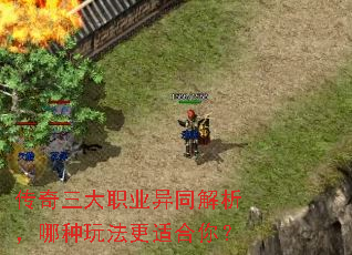 ��������ְҵ��ͬ�����������淨���ʺ��㣿