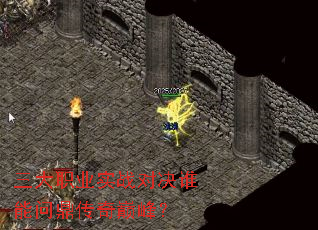 ����ְҵʵս�Ծ�˭���ʶ������۷壿