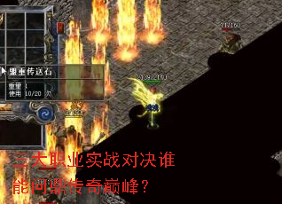 ����ְҵʵս�Ծ�˭���ʶ������۷壿