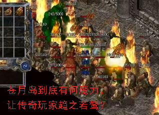 ���µ������к�ħ�����ô��������֮���ͣ�