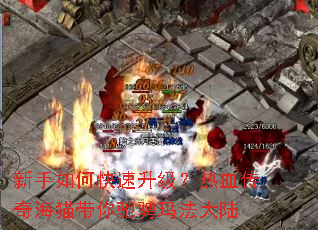 新手如何快速升级?热血传奇海猫带你驰骋玛法大陆 新手如何快速升级?热血传奇海猫带你驰骋玛法大陆