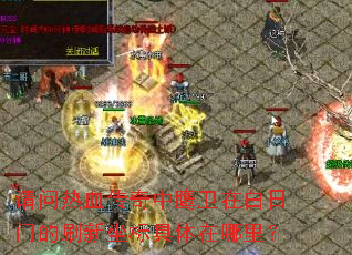 ������Ѫ������ӥ���ڰ����ŵ�ˢ��������������