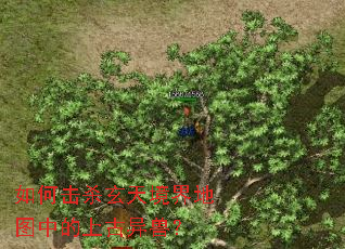 如何击杀玄天境界地图中的上古异兽? 如何击杀玄天境界地图中的上古异兽?