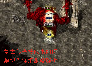 ���Ŵ��漼������ν����ϸ�������
