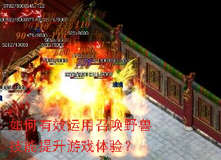 �����Ч�����ٻ�Ұ�޼���������Ϸ���飿