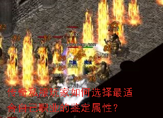 传奇私服玩家如何选择最适合自己职业的鉴定属性? 传奇私服玩家如何选择最适合自己职业的鉴定属性?
