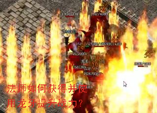 法师如何获得并使用龙牙提升战力? 法师如何获得并使用龙牙提升战力?